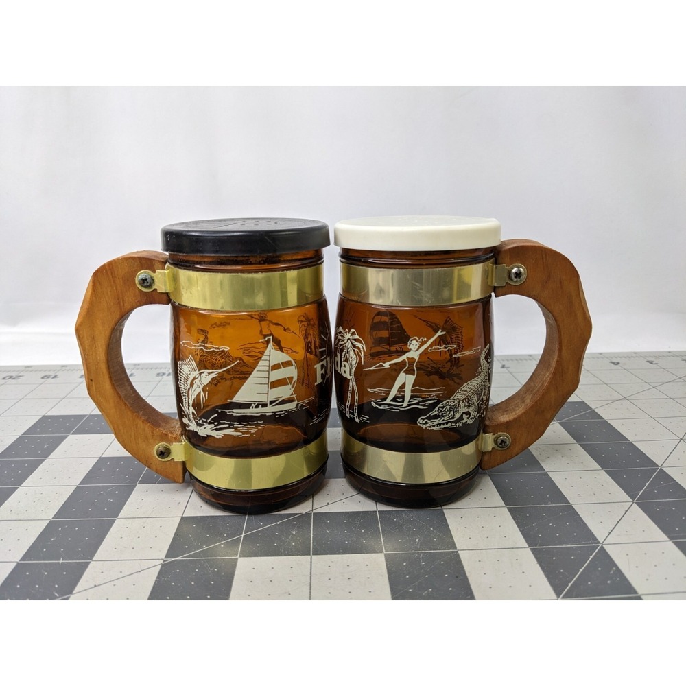 Florida Souvenir Salt Pepper Shaker Glass Mug Stein Wood Handle 4.25 Inch Tall